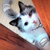 Mopian