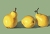 Qie_