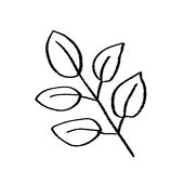 はとみ