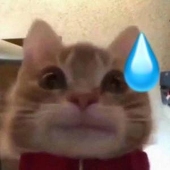 伤心猪大肠