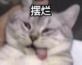 千机若梦