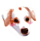 ゆきウサ