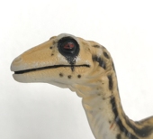 HSS