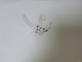 노토리크