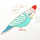 ちかる
