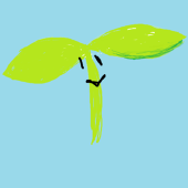 isoや