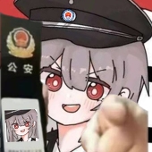介入调查的扫黄大队长