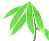 ささのは