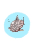 こりどらす