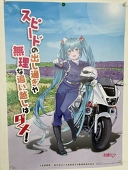 スマイルモルモット