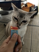 倫