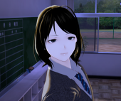 紫苑