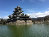虎