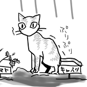 ノア