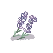 しぞの