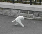 今崎 ホセ