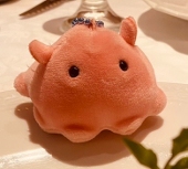みなしき