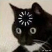 Orengi