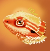 Moragon