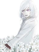ハス🌸
