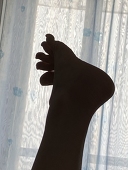 七days