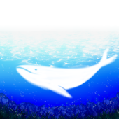 かずぬえ
