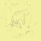 ミジ