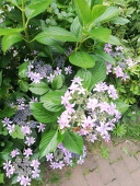 透磁率