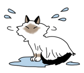 てるい