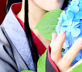 桜華