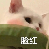 夜黎说下次吧