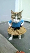 NATOHKA