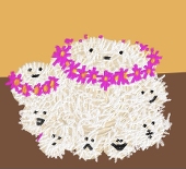 かわせみ