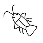Ligia