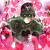 Yanmarson@skeb