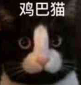 Yuuuzaki