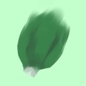 じーこ