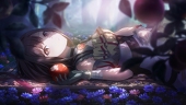 Lis