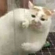 𝓐𝓮𝓻𝓼.𝓰𝓸𝓭