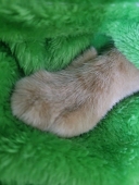 @@
