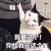 Ann_cc