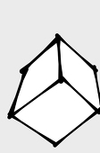 Zenokidon✴️