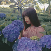 Zih Jing Lai