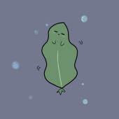 ワカメ