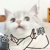 菸木木