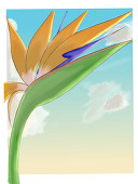 草花(クサカ)
