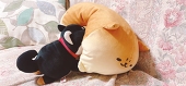 すじゃく