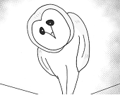 ゆーこ
