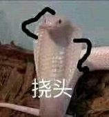 sgnet