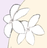 qiaip